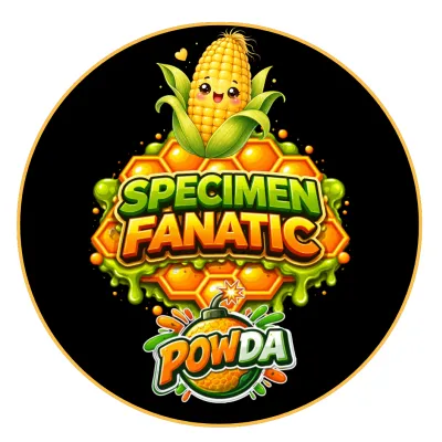 Powda - Sweetcorn